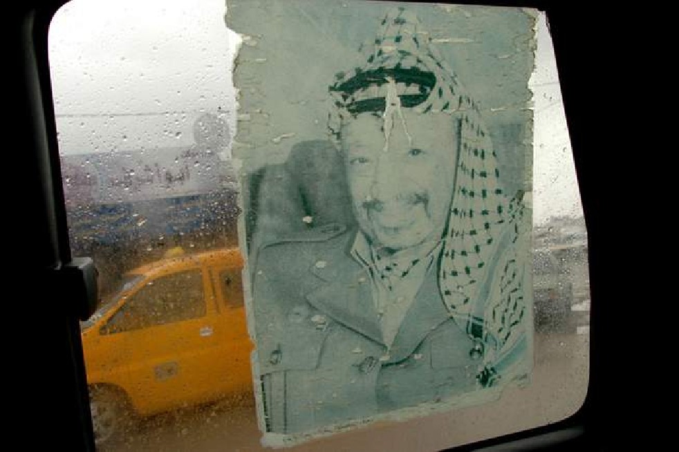 Palestina's children