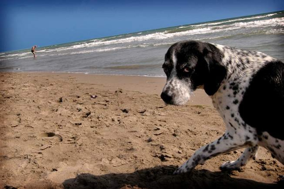 Summer in Castiglione della Pescaia