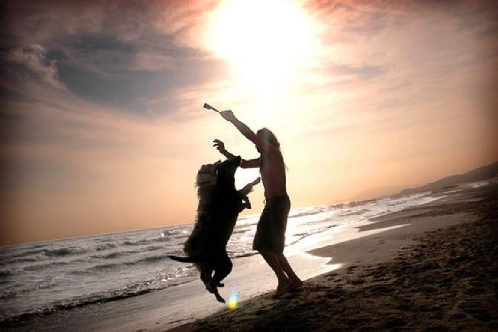 Summer in Castiglione della Pescaia