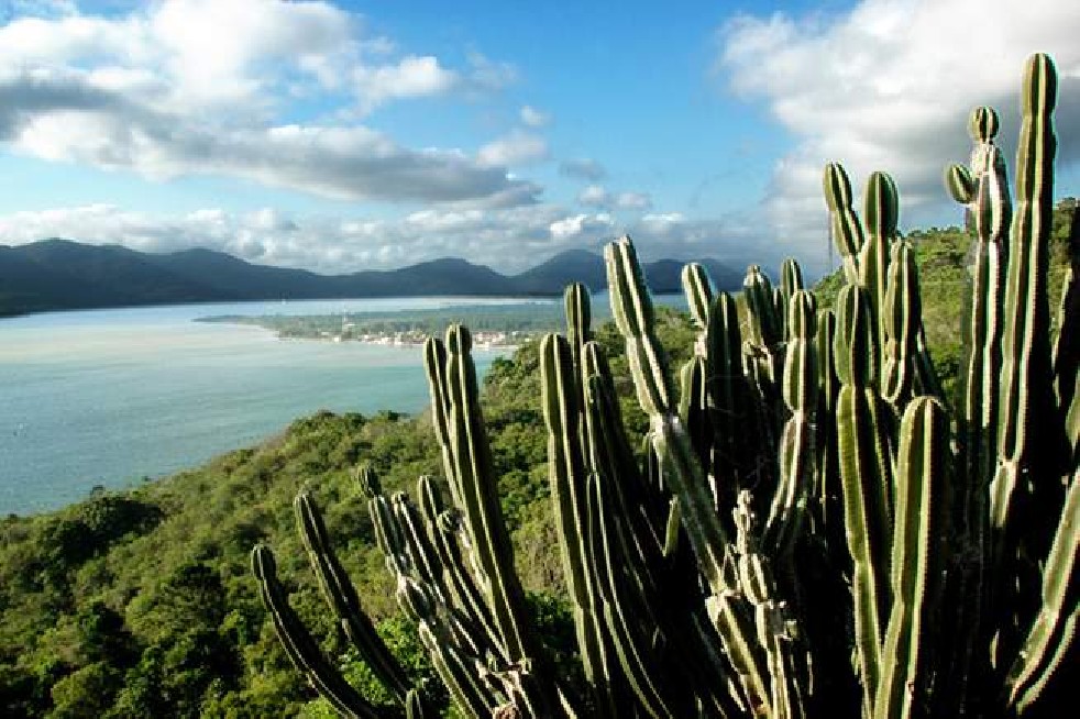 Florianopolis, Magic Island!