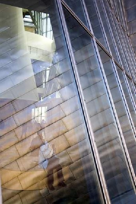 Guggenheim Bilbao Museum