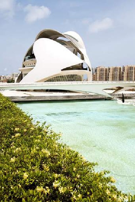 Palau de les Arts Reina Sofa of Valencia