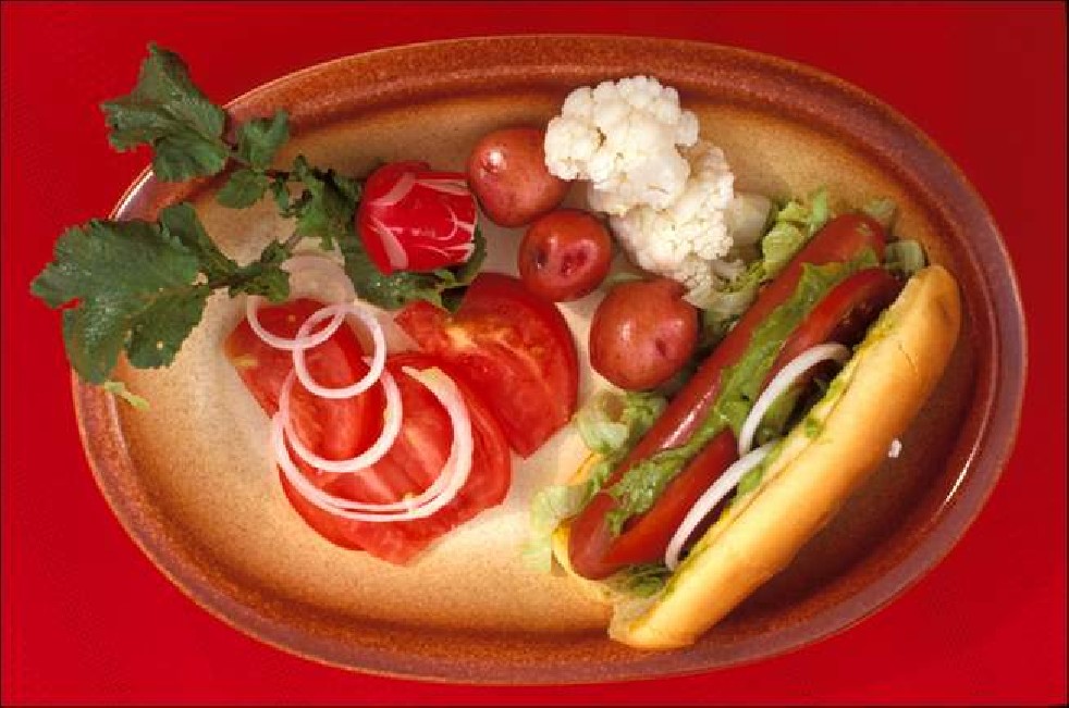 Avocado fruit of the Aztecs 