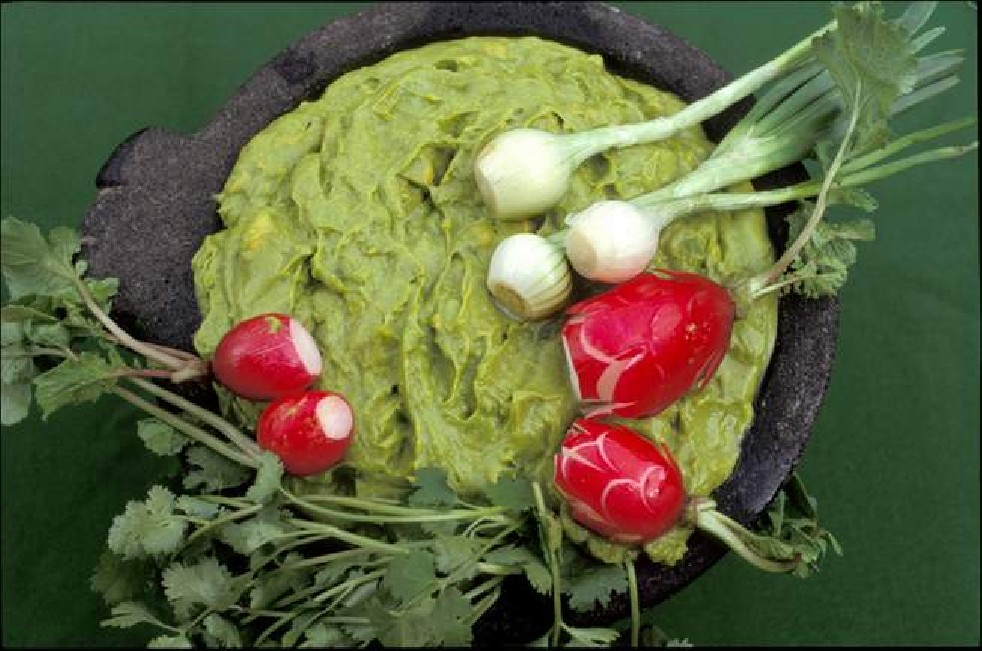 Avocado fruit of the Aztecs 