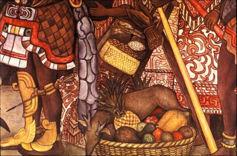 Avocado fruit of the Aztecs 