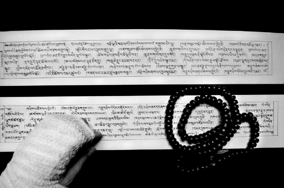 Tibetan Diaspora Monks 