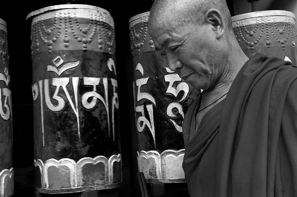 Tibetan Diaspora Monks 