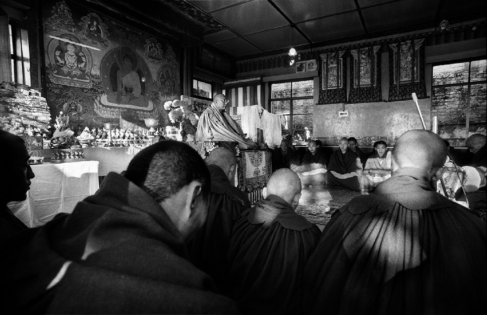 Tibetan Diaspora Monks 
