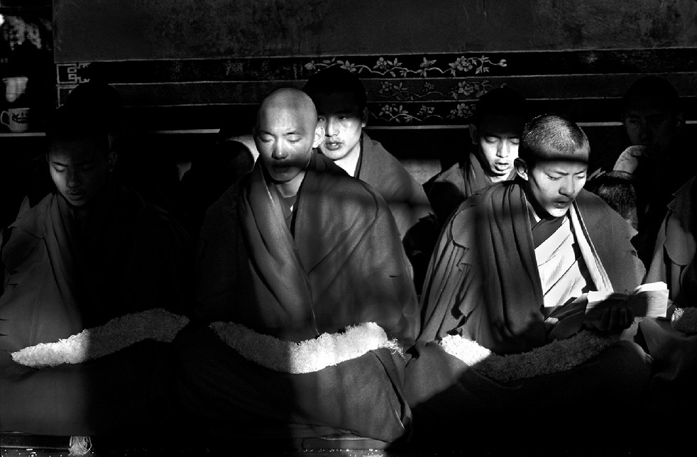 Tibetan Diaspora Monks 