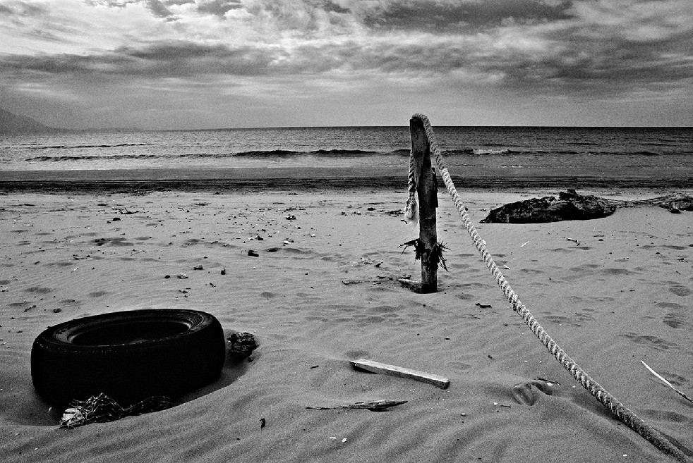 New Wild Sea 