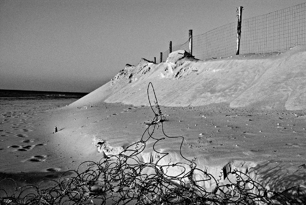 New Wild Sea 