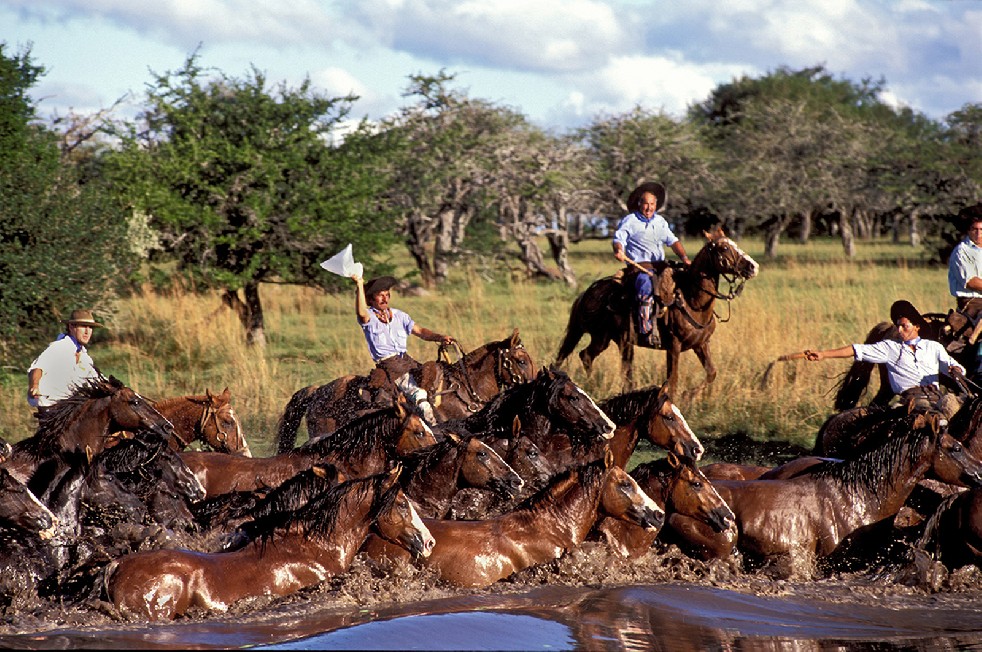 The Gauchos 