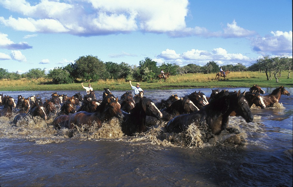 The Gauchos 