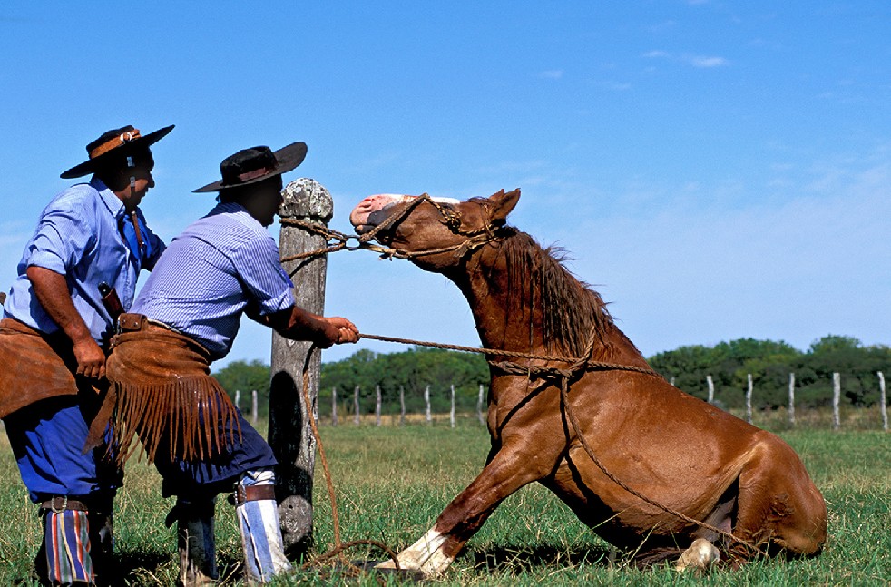 The Gauchos 