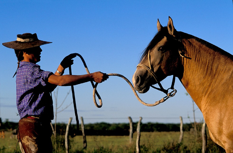 The Gauchos 