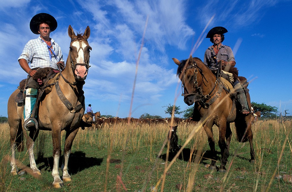 The Gauchos 