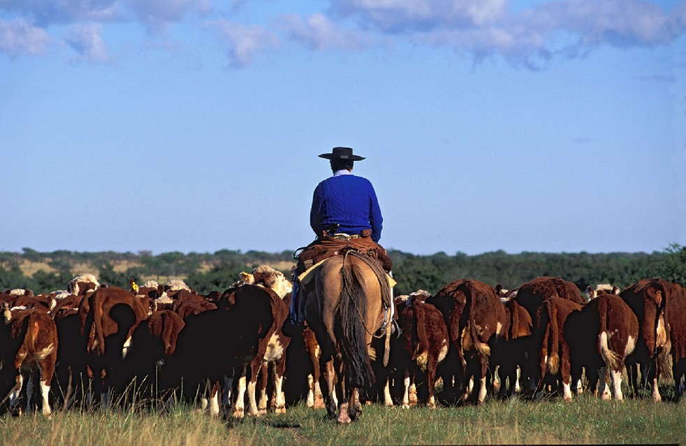 The Gauchos 