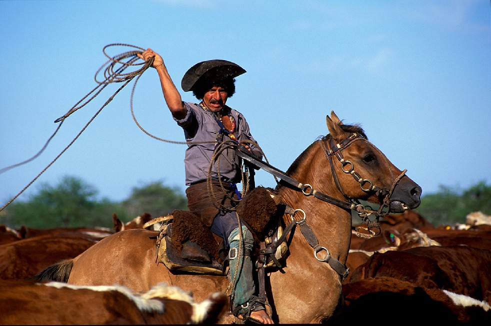 The Gauchos 