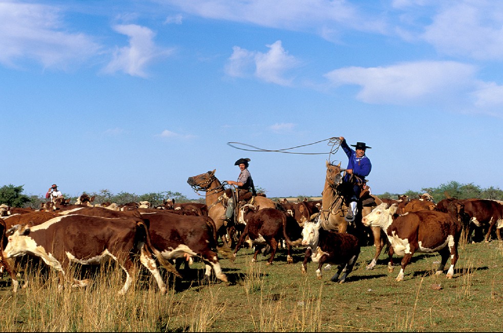 The Gauchos 