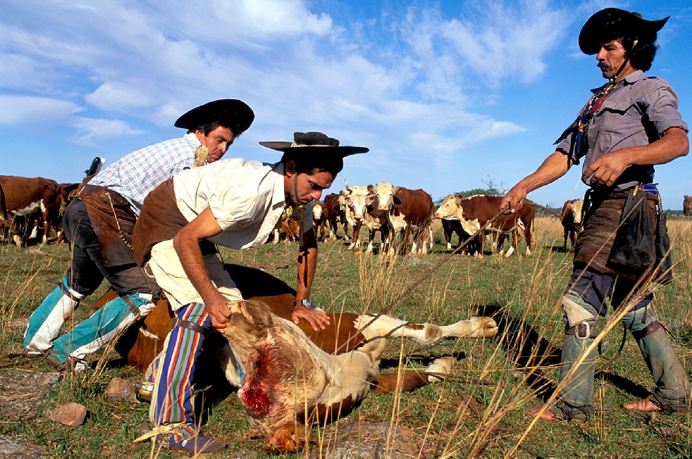The Gauchos 