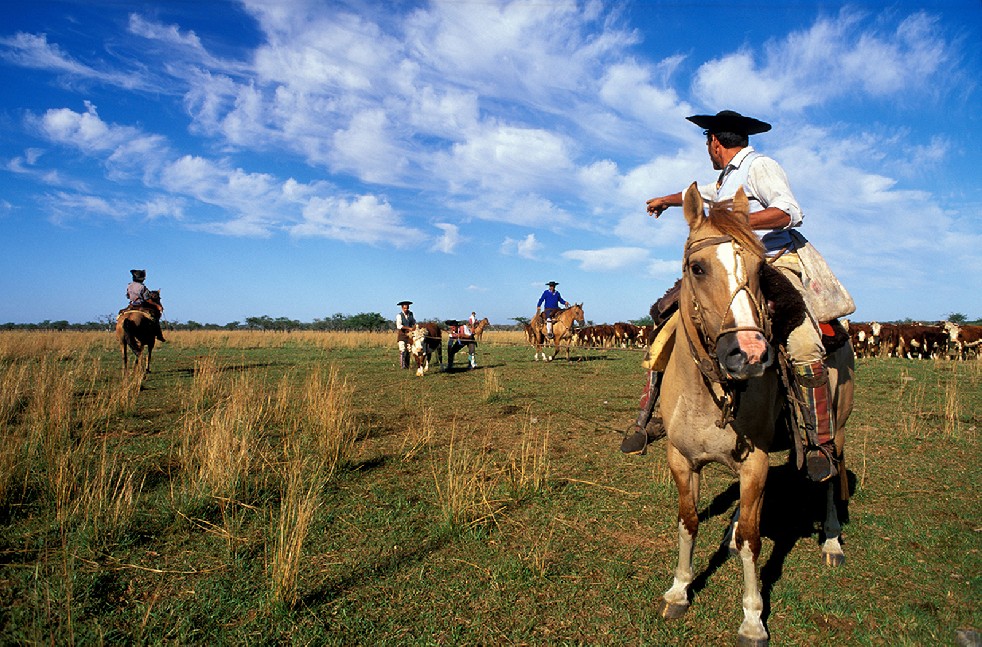The Gauchos 