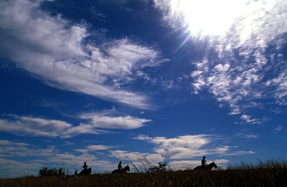 The Gauchos 