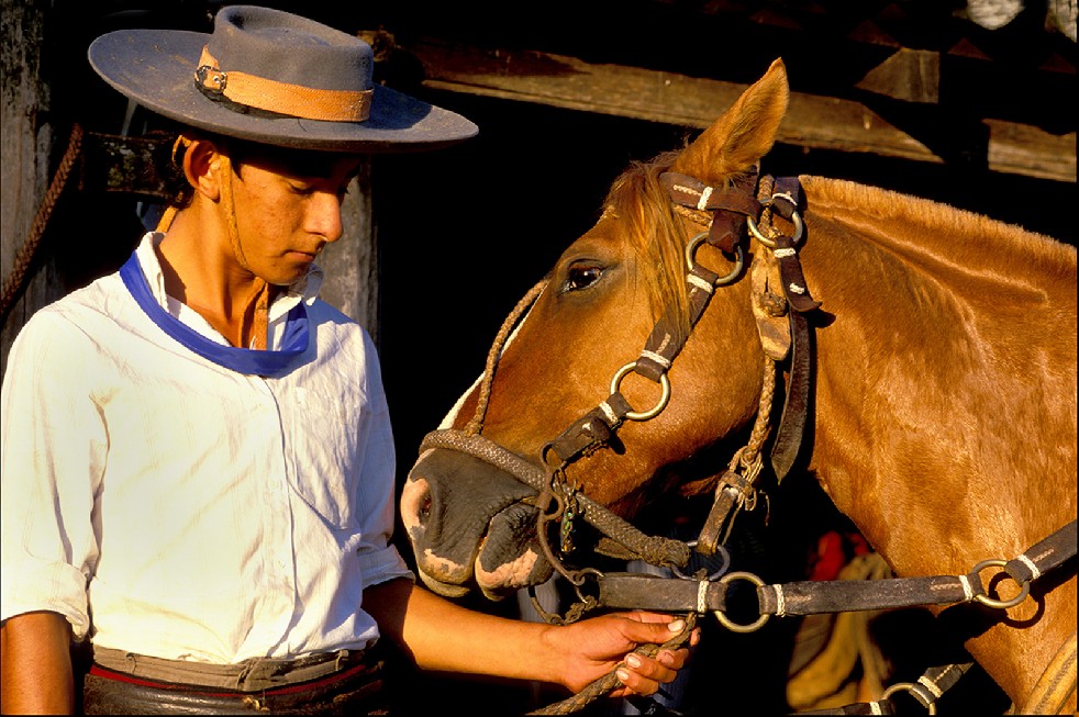 The Gauchos 