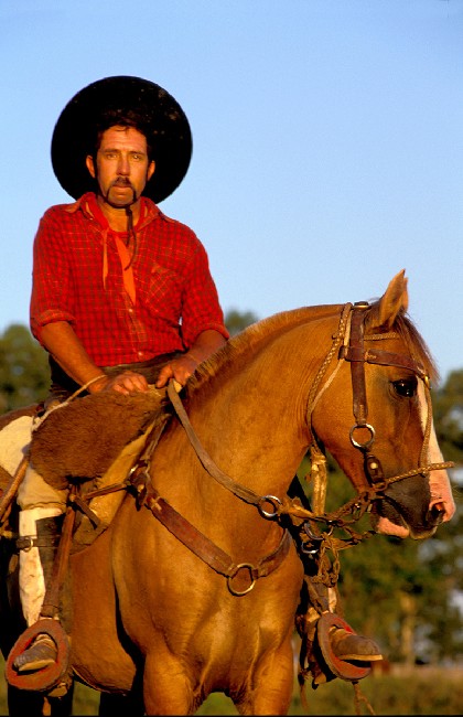 The Gauchos 