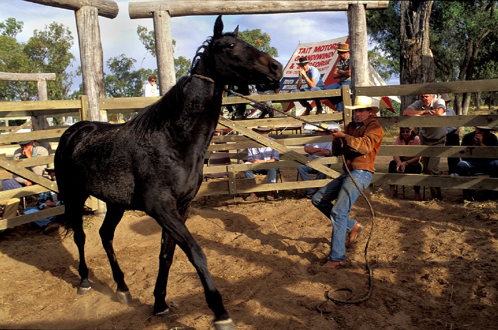 The Stockmen 
