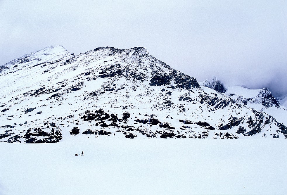 Ice Adventurers 