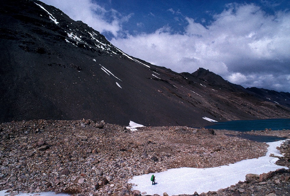 Ice Adventurers 