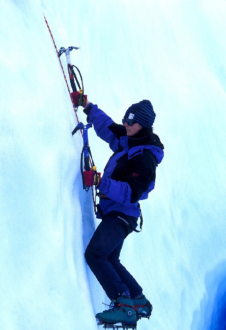 Ice Adventurers 