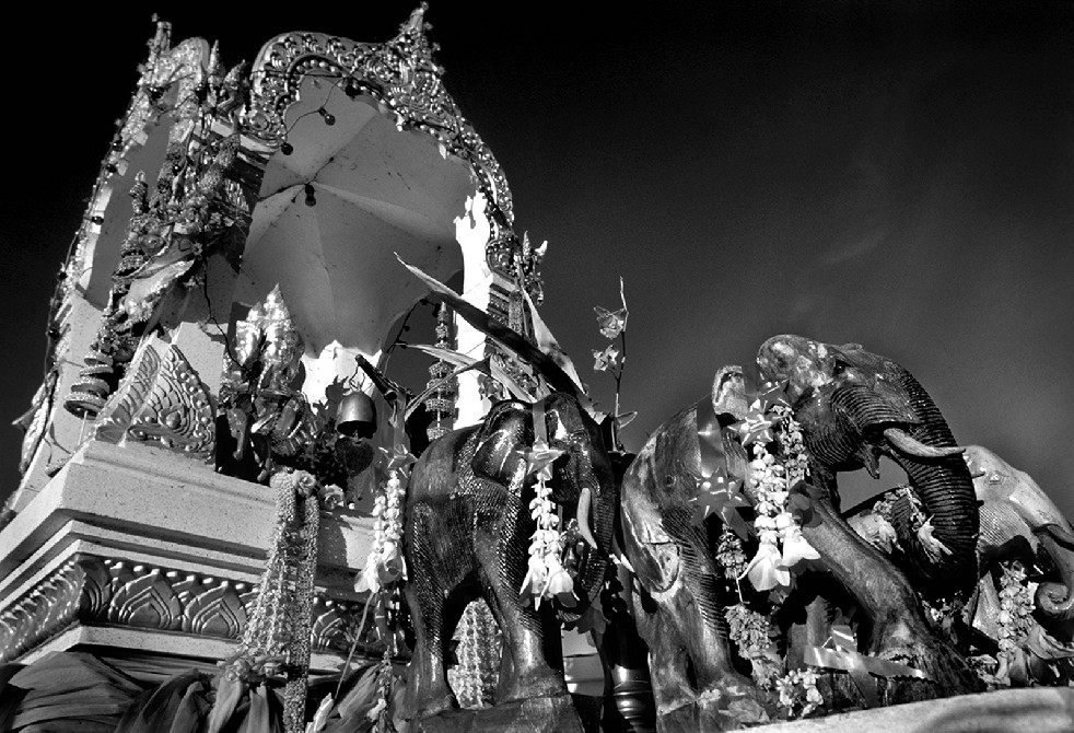 SOS Thai Elephants 