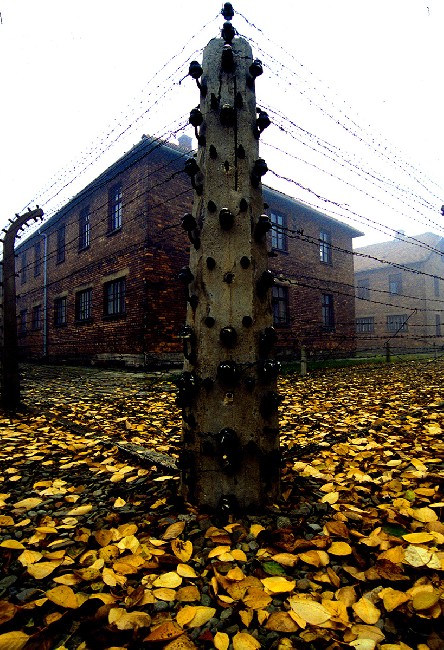 Auschwitz: lest we forget