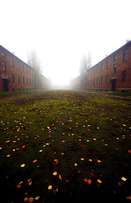 Auschwitz: lest we forget