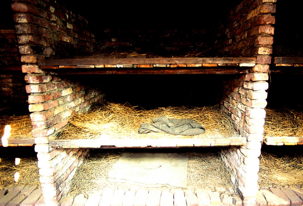 Auschwitz: lest we forget