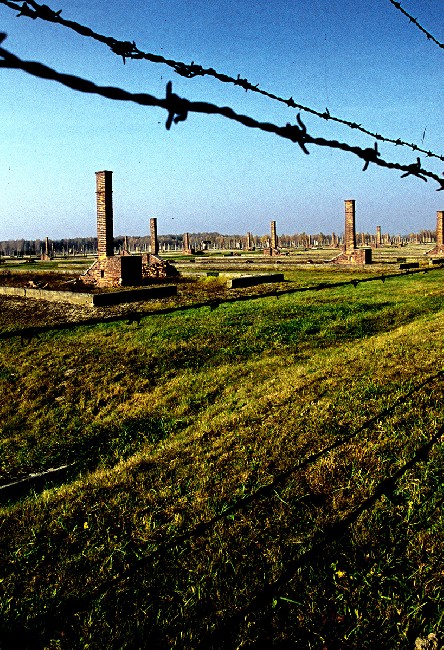 Auschwitz: lest we forget