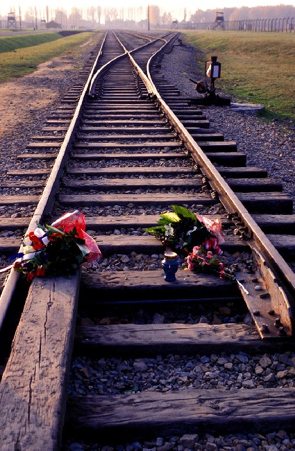 Auschwitz: lest we forget