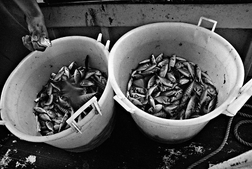 The Fishermen 
