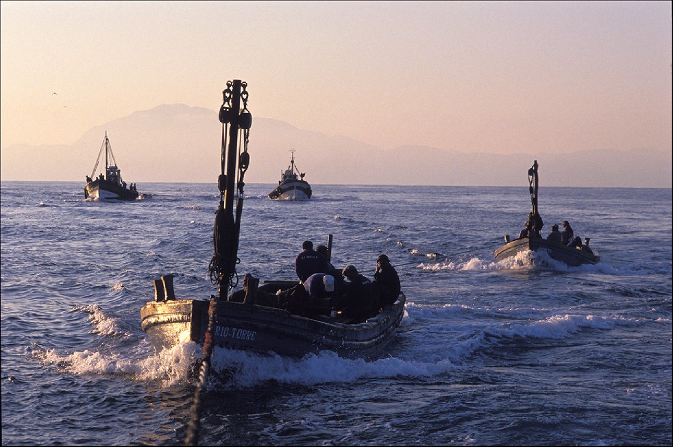The Samurais Of The Sea 