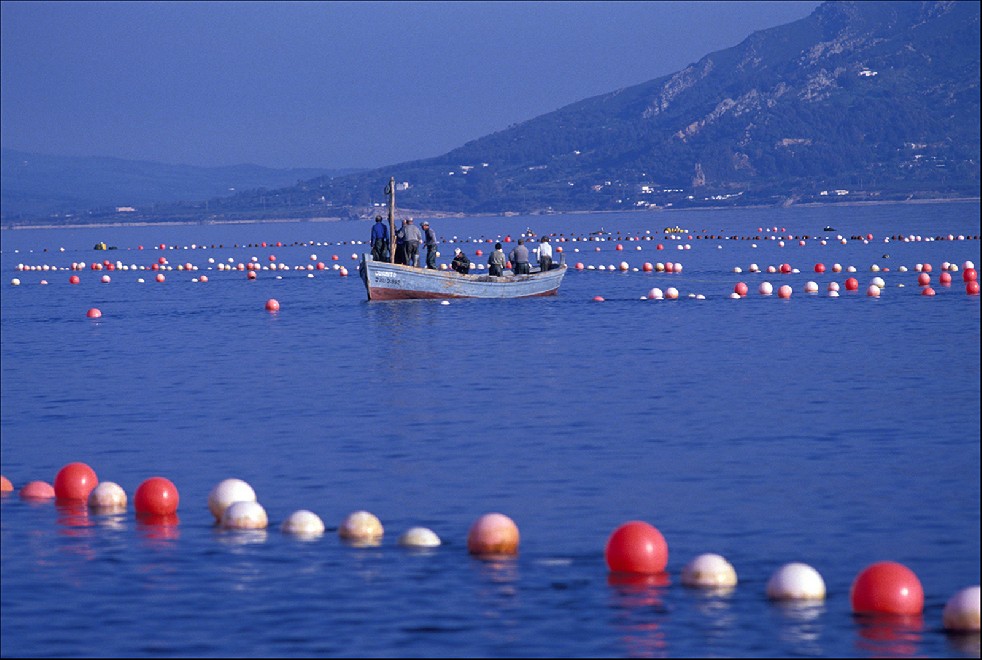 The Samurais Of The Sea 
