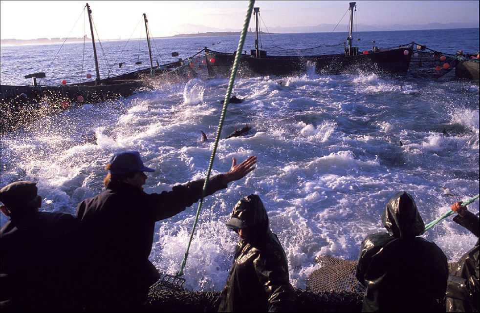 The Samurais Of The Sea 