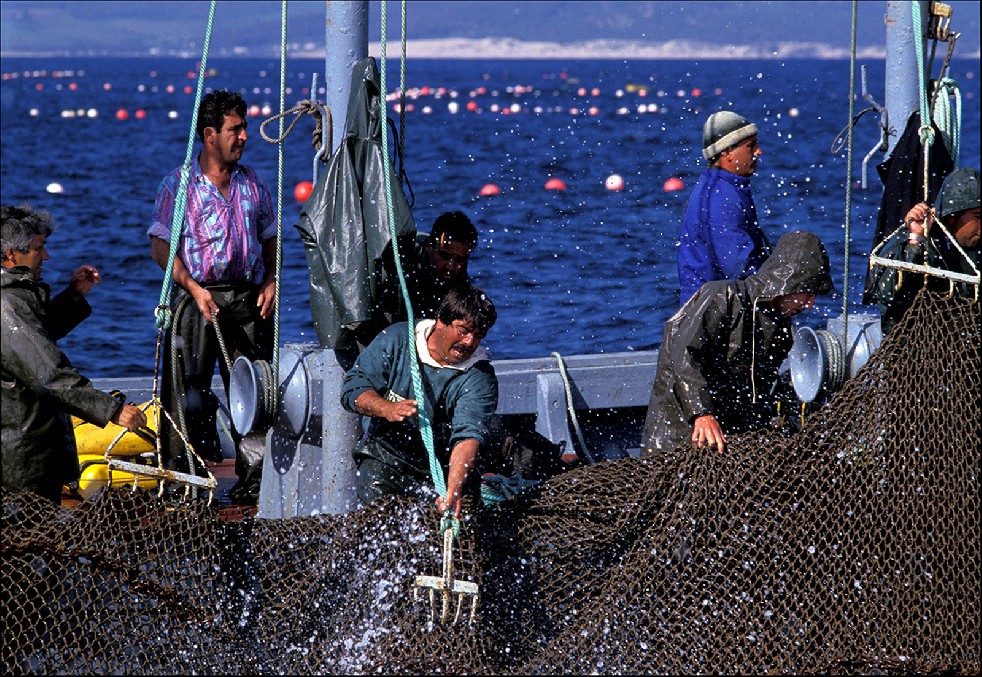 The Samurais Of The Sea 
