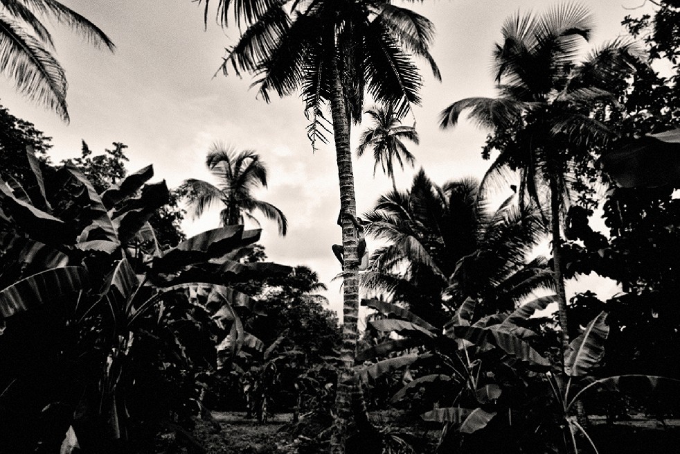Panama, The Country Between 
