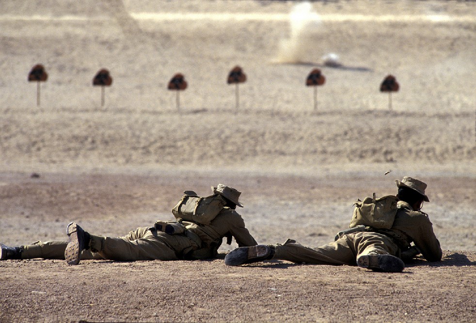 Desert Sentries 