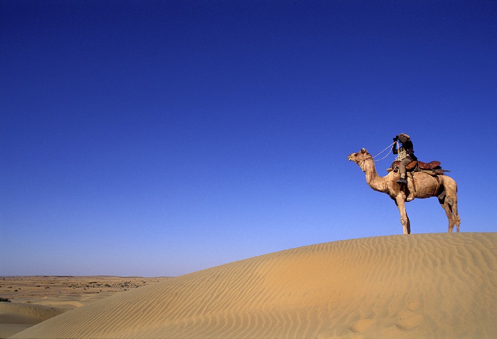 Desert Sentries 