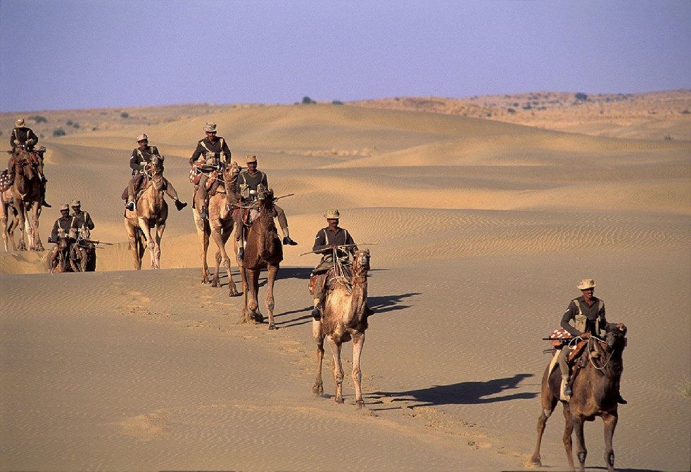 Desert Sentries 