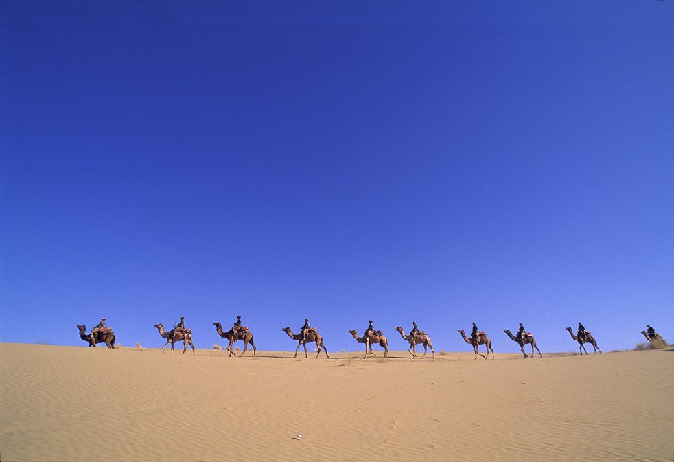 Desert Sentries 