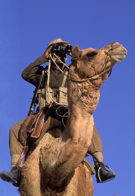 Desert Sentries 