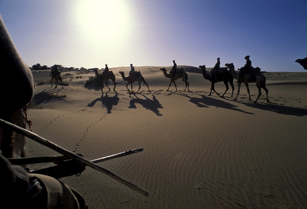 Desert Sentries 
